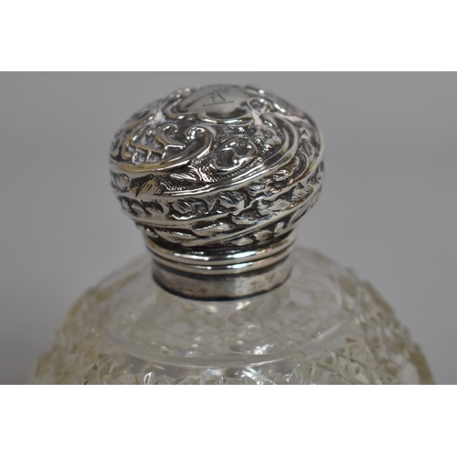 242 - A Silver Topped Globular Perfume Bottle with Inner Stopper, 11cms High