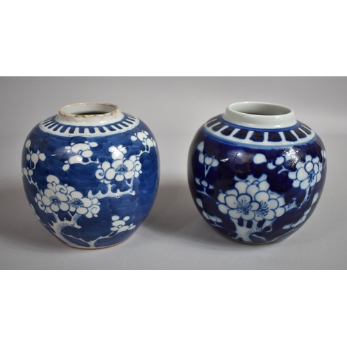 386 - A Collection of Eight Chinese Blue and White Prunus Pattern Ginger Jars, Various Ages, Tallest 17cms... 