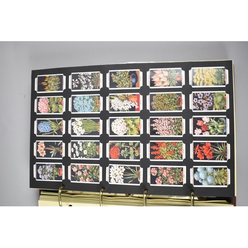 cigarette box case holder 1PC Cigarette Storage Case Smoke Tobacco Box Aluminum Holder Chose Color