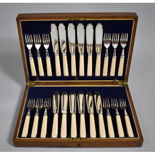 2 - An Edwardian Mahogany Cased Canteen Containing Twelve Bone Handled and Silver Plated Fish Knives and... 