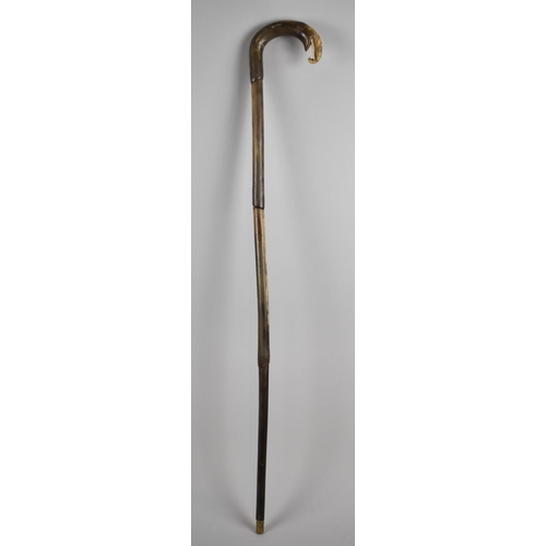 48 - A Late 19th Century Colonial Horn Walking Stick with Novelty Handle in the Form of an Elephants Head... 