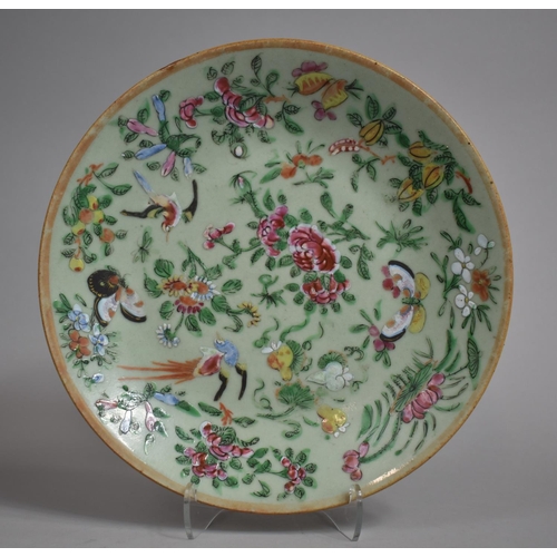 328 - A 19th Century Chinese Celadon Glazed Plate decorated in the Famille Rose Palette with Flowers, Bird... 