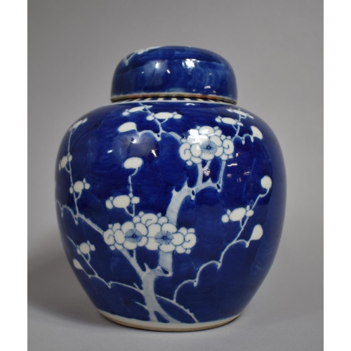 308 - A 19th Century Chinese Porcelain Blue and White Prunus Pattern Ginger Jar and Cover, Double Concentr... 