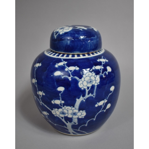 308 - A 19th Century Chinese Porcelain Blue and White Prunus Pattern Ginger Jar and Cover, Double Concentr... 