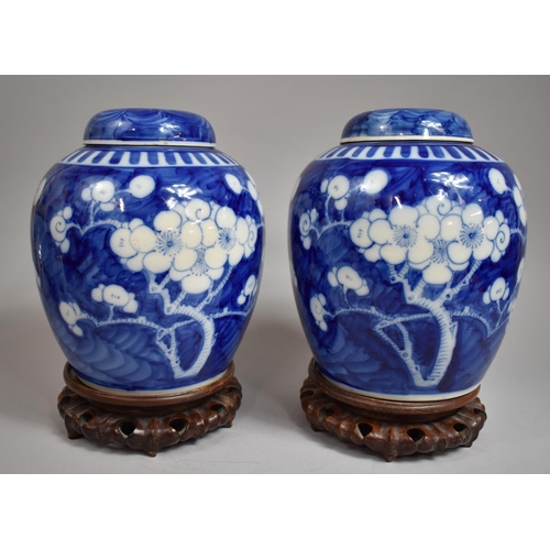 304 - A Good Pair of Large Chinese Prunus Pattern Ginger Jars with Covers on Pierced Wooden Stands, Four C... 