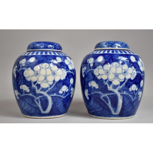 304 - A Good Pair of Large Chinese Prunus Pattern Ginger Jars with Covers on Pierced Wooden Stands, Four C... 