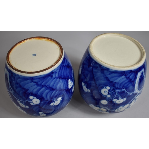 304 - A Good Pair of Large Chinese Prunus Pattern Ginger Jars with Covers on Pierced Wooden Stands, Four C... 