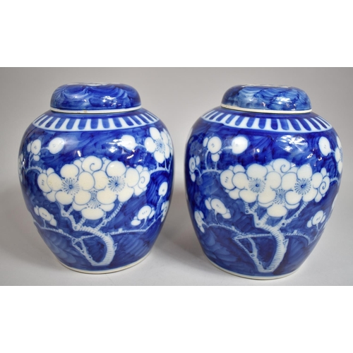 304 - A Good Pair of Large Chinese Prunus Pattern Ginger Jars with Covers on Pierced Wooden Stands, Four C... 