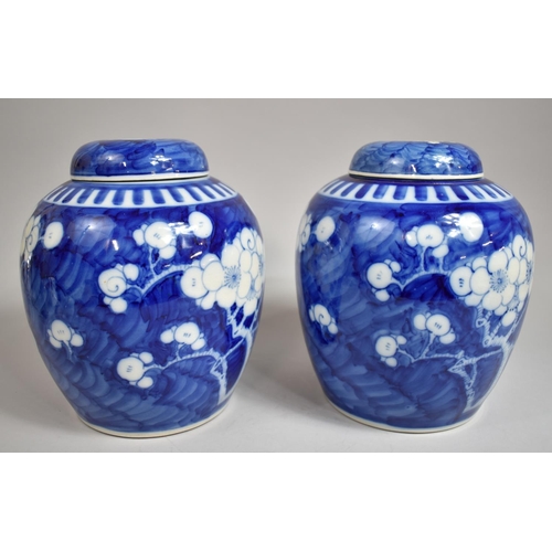 304 - A Good Pair of Large Chinese Prunus Pattern Ginger Jars with Covers on Pierced Wooden Stands, Four C... 