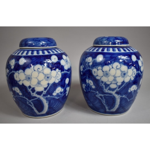 304 - A Good Pair of Large Chinese Prunus Pattern Ginger Jars with Covers on Pierced Wooden Stands, Four C... 