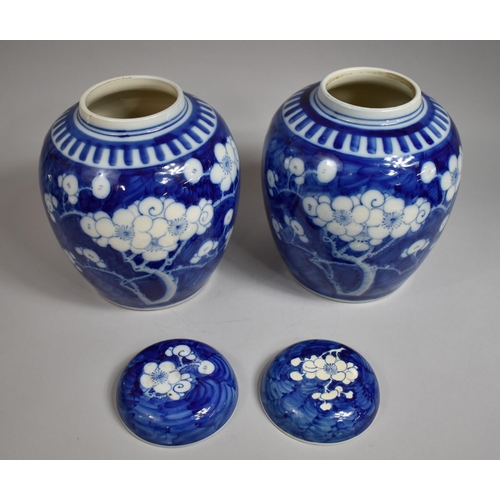 304 - A Good Pair of Large Chinese Prunus Pattern Ginger Jars with Covers on Pierced Wooden Stands, Four C... 