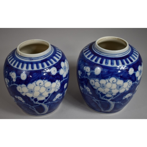 304 - A Good Pair of Large Chinese Prunus Pattern Ginger Jars with Covers on Pierced Wooden Stands, Four C... 