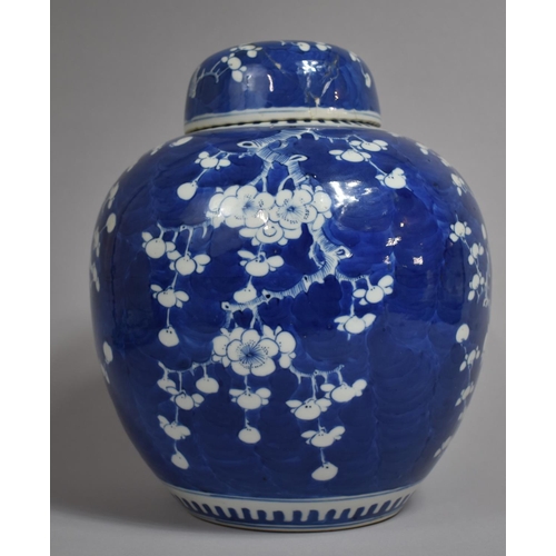 303 - A Large 19th Century Chinese Porcelain Lidded Ginger Jar, Prunus Pattern, Having Four Character Mark... 