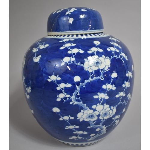 303 - A Large 19th Century Chinese Porcelain Lidded Ginger Jar, Prunus Pattern, Having Four Character Mark... 