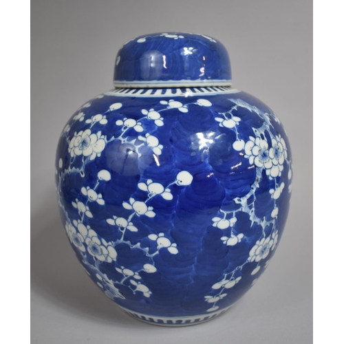 303 - A Large 19th Century Chinese Porcelain Lidded Ginger Jar, Prunus Pattern, Having Four Character Mark... 