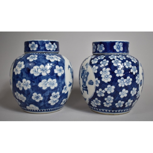 305 - A Pair of 18th/19th Century Chinese Porcelain Ginger Jars and Covers, Blue and White Prunus Pattern ... 