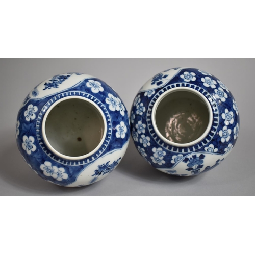 305 - A Pair of 18th/19th Century Chinese Porcelain Ginger Jars and Covers, Blue and White Prunus Pattern ... 