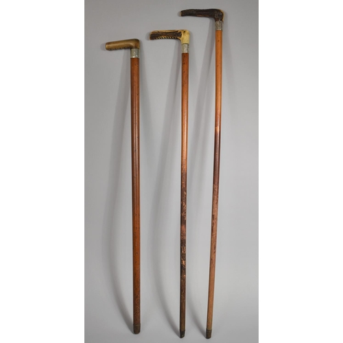 40 - A Collection of Three Crop Handled Walking Sticks with Silver and White Metal Collars.