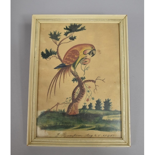 215 - An 18th Century Watercolour Study of a Parrot, Inscribed J. Hampson, August 25 1795. 17x24cms