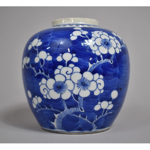 306 - A 19th Century Chinese Blue and White Ginger Jar, Double Concentric Mark to Base, 14cms High