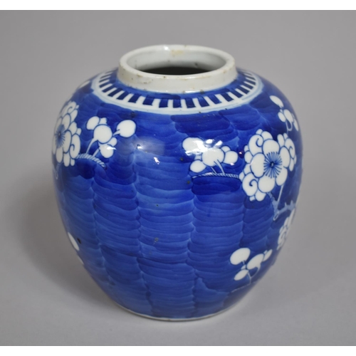 306 - A 19th Century Chinese Blue and White Ginger Jar, Double Concentric Mark to Base, 14cms High