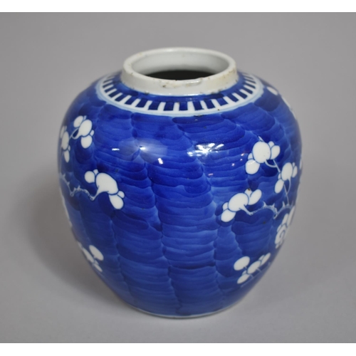 306 - A 19th Century Chinese Blue and White Ginger Jar, Double Concentric Mark to Base, 14cms High