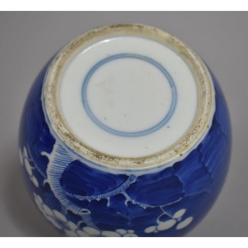 306 - A 19th Century Chinese Blue and White Ginger Jar, Double Concentric Mark to Base, 14cms High