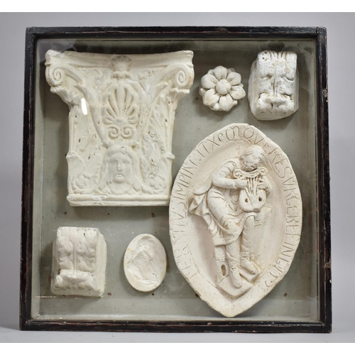 79 - A Museum Type Display, 19th Century Plaster Cast Architectural Elements, Glazed Wooden Case 46x46cm ... 