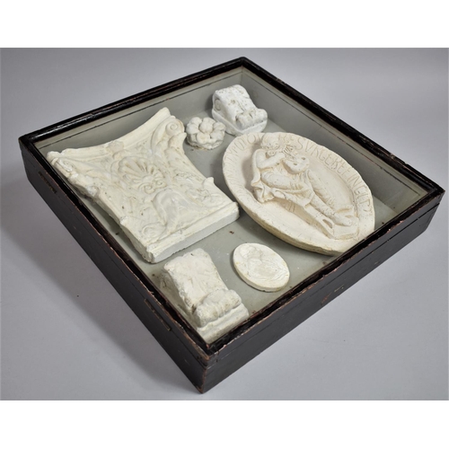 79 - A Museum Type Display, 19th Century Plaster Cast Architectural Elements, Glazed Wooden Case 46x46cm ... 