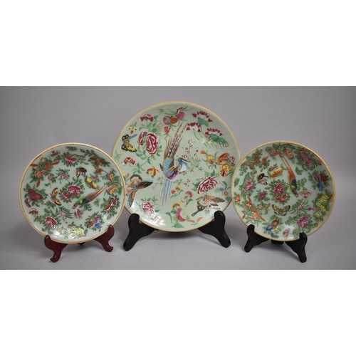 327 - A Pair of Chinese Celadon Glazed Famille Rose Plates together with a Larger Example. 18.5x25.5cms Di... 