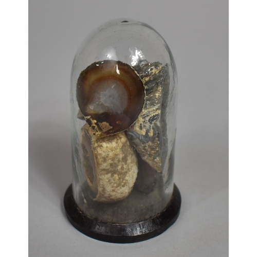 71 - A 19th Century Glass Dome Containing Various Mineral Samples. 11cms High