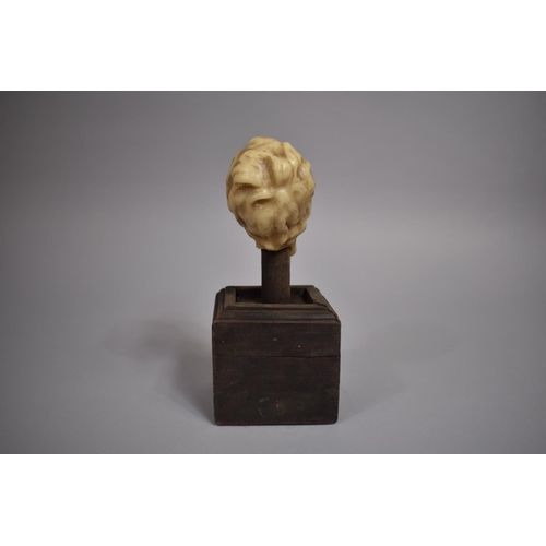 30 - An Antique Wax Bust of a Young Boy, Mounted on a Wooden Plinth, 25cms High