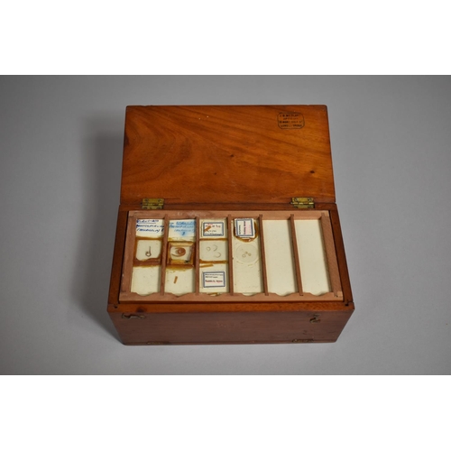 95 - An Early to Mid 20th Century Mahogany Cased Slide Box with Hinged Lid and Pull Down Front Containing... 