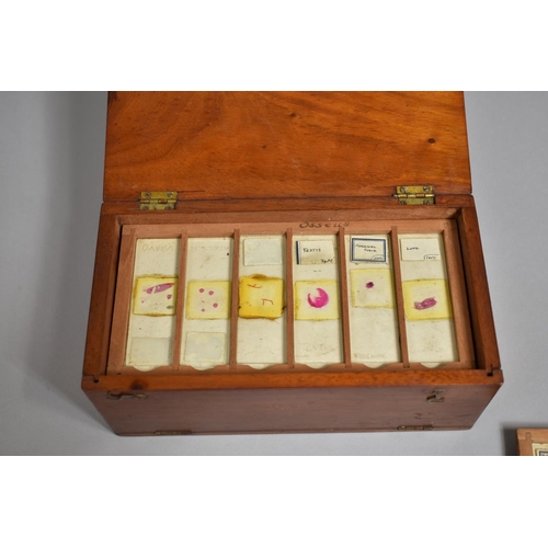 95 - An Early to Mid 20th Century Mahogany Cased Slide Box with Hinged Lid and Pull Down Front Containing... 