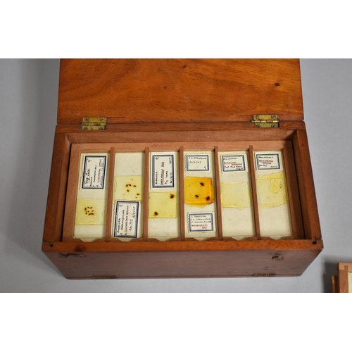 95 - An Early to Mid 20th Century Mahogany Cased Slide Box with Hinged Lid and Pull Down Front Containing... 