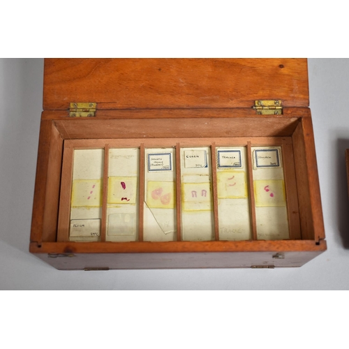 95 - An Early to Mid 20th Century Mahogany Cased Slide Box with Hinged Lid and Pull Down Front Containing... 