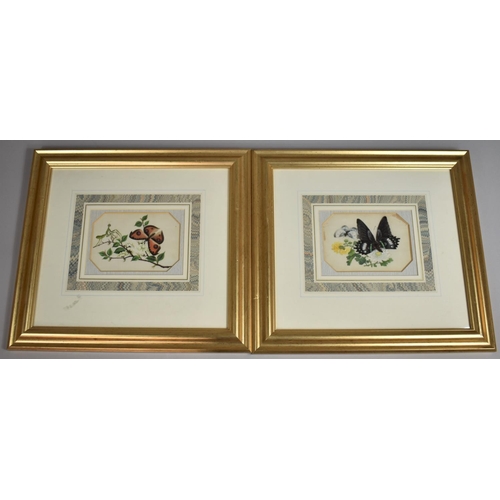 232 - A Pair of Gilt Framed Paintings on Silk, Detailed Studies of Butterflies, Each 15x10cms