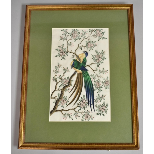 233 - A Framed Chinese Pith Painting, Two Birds on Tree Branch, 30x18.5cms