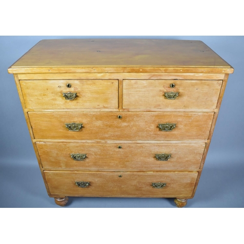 462 - A Late Victorian/Edwardian Satinwood Chest of Two Short and Three Long Drawers. 101x49x109cms High