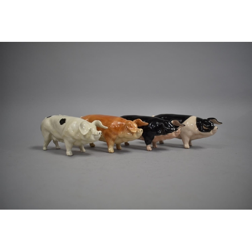 516 - A Collection of Pig Ornaments by Acorn