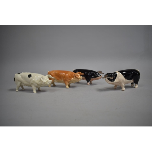 516 - A Collection of Pig Ornaments by Acorn