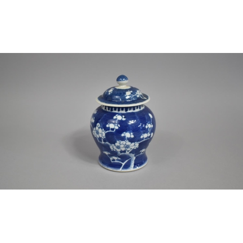 287 - A Chinese Porcelain Blue and White Prunus Pattern Vase and Cover of Squat Baluster Form, Double Conc... 