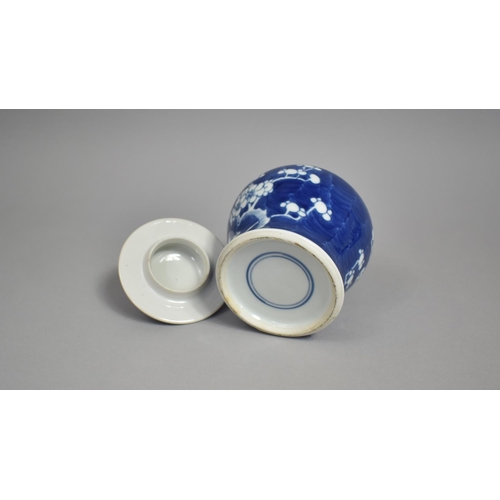 287 - A Chinese Porcelain Blue and White Prunus Pattern Vase and Cover of Squat Baluster Form, Double Conc... 