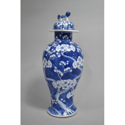 290 - A 19th Century Chinese Blue and White Prunus Pattern Vase and Cover, Baluster Form, The Lid with Tem... 