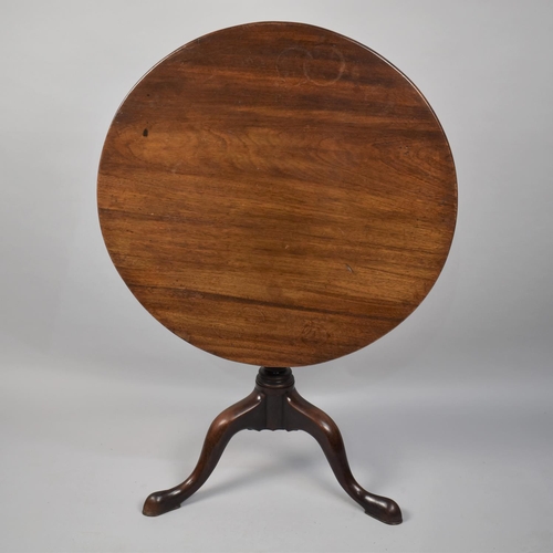 468 - A 19th Century Mahogany Snap Top Tripod Table with Circular Top on Half Wrythen Support Raised on Go... 