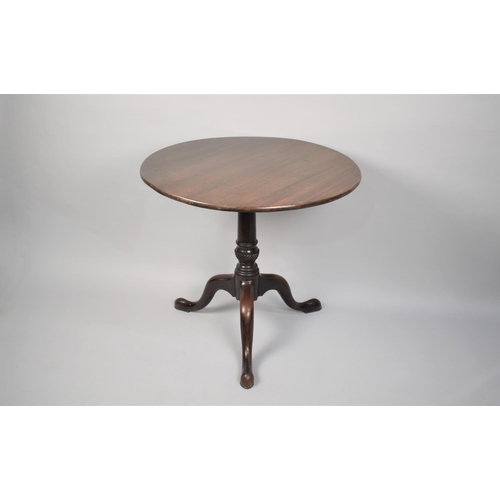 468 - A 19th Century Mahogany Snap Top Tripod Table with Circular Top on Half Wrythen Support Raised on Go... 