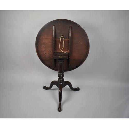 468 - A 19th Century Mahogany Snap Top Tripod Table with Circular Top on Half Wrythen Support Raised on Go... 