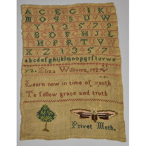 81 - An Early 19th Century Unframed Alphabet Sampler Dated 1827 by Eliza Williams, with Verse 'Learn Now ... 