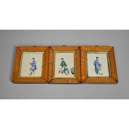 250 - A Set of Three Maple Framed Chinese Pith Paper Paintings, Seated Maidens, Frames 19cm x 21cm high