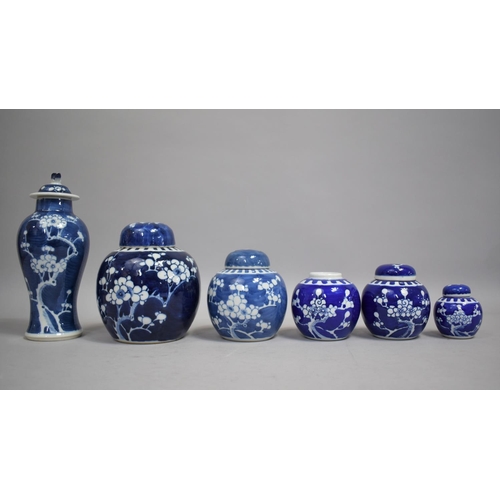 286 - A Collection of 20th Century Chinese Prunus Pattern Porcelain to comprise Five Ginger Jars and One L... 